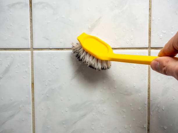 Best Mold Remediation  in Superior, NE