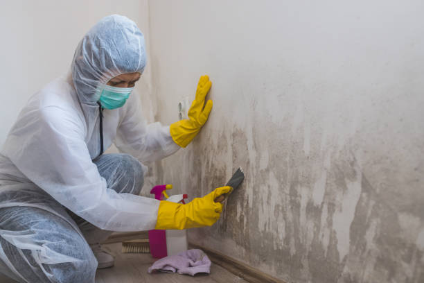 Best Crawl Space Mold Removal  in Superior, NE